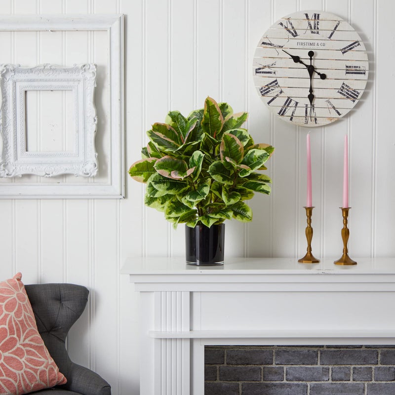 Nearly Natural Artificial Rubber Plant in Glossy Cylinder (Real Touch) - Image 4